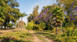 Guará reúne parques para caminhadas, pedaladas e momentos de lazer ao ar livre