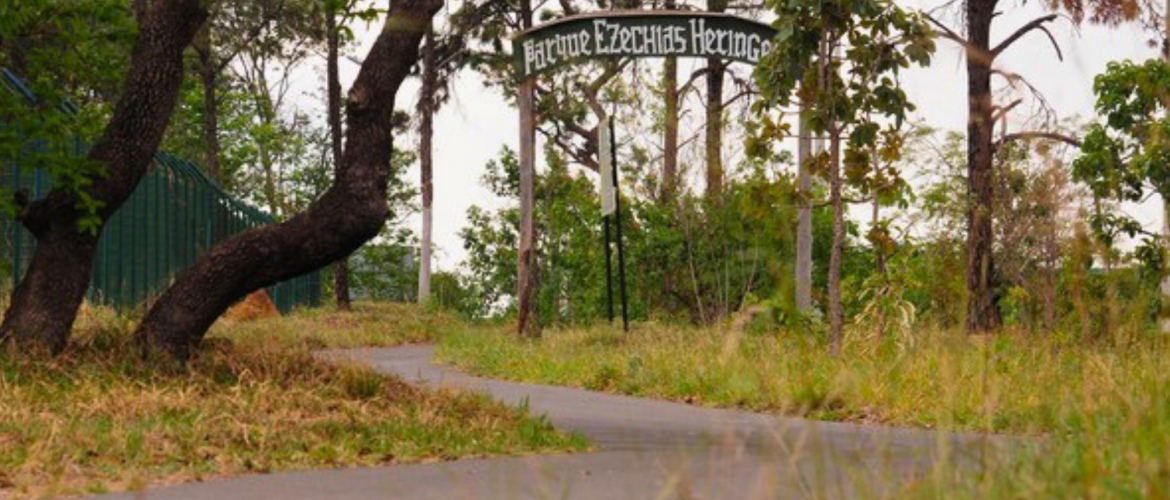 Parque Ezechias Heringer recebe caminhada ecológica no dia 1º de agosto