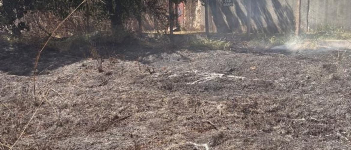 Bombeiros controlam incêndio que atingiu o Parque Ecológico do Guará