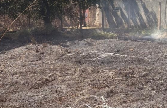 Bombeiros controlam incêndio que atingiu o Parque Ecológico do Guará